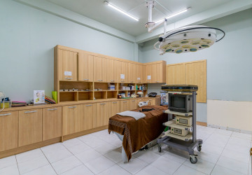 440 Sqm Commercial Villa For Rent - Boeung Kak 2, Phnom Penh thumbnail
