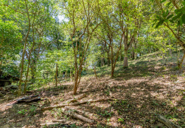 2,900 Sqm Land For Sale - Prey Thum, Kep Province thumbnail