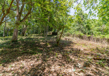2,900 Sqm Land For Sale - Prey Thum, Kep Province thumbnail