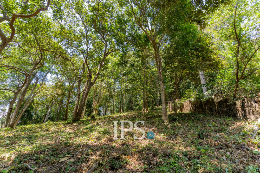 2,900 Sqm Land For Sale - Prey Thum, Kep Province - Image 16