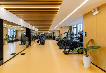 Studio For Sale - The Pinnacle Residence Type A4 Condominium, Tonle Bassac, Phnom Penh thumbnail