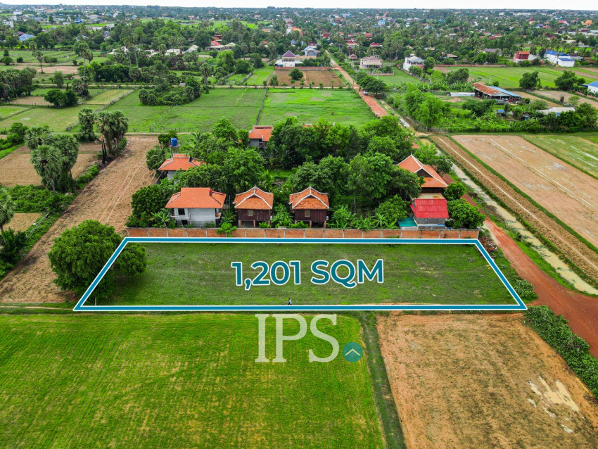 1,201 Sqm Land For Sale - Chreav, Siem Reap