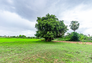 1,201 Sqm Land For Sale - Chreav, Siem Reap thumbnail