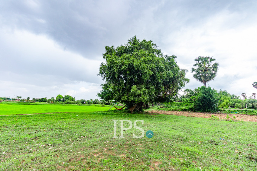1,201 Sqm Land For Sale - Chreav, Siem Reap