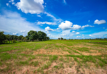 2,294 Sqm Land For Sale - Mean Chey, Prasat Bakong, Siem Reap thumbnail