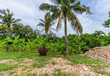 3,850 Sqm Land For Rent - Sangkat Siem Reap, Siem Reap thumbnail