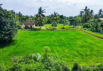 1,228 Sqm Land For Sale - Sambour, Siem Reap thumbnail