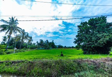 1,228 Sqm Land For Sale - Sambour, Siem Reap thumbnail