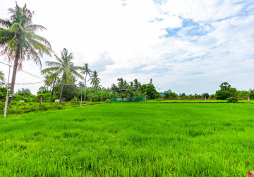 1,228 Sqm Land For Sale - Sambour, Siem Reap thumbnail