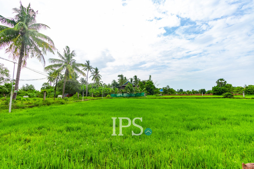 1,228 Sqm Land For Sale - Sambour, Siem Reap