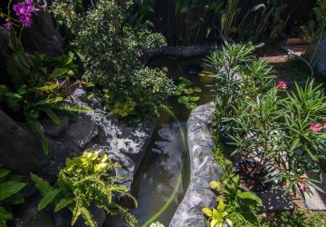 150 Sqm Studio Apartment For Rent - Sala Kamreuk, Siem Reap thumbnail