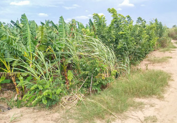 12,140 Sqm Land For Sale - Kien Svay, Kandal Province thumbnail