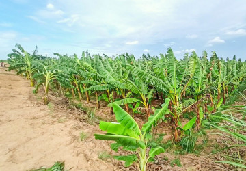 12,140 Sqm Land For Sale - Kien Svay, Kandal Province thumbnail