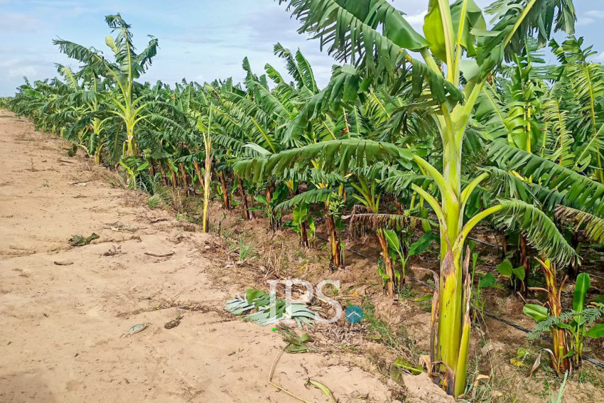 12,140 Sqm Land For Sale - Kien Svay, Kandal Province