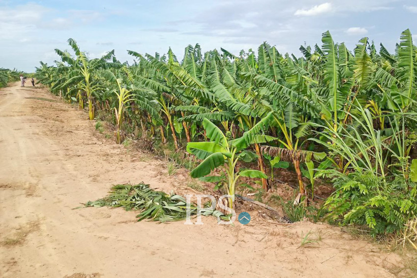 12,140 Sqm Land For Sale - Kien Svay, Kandal Province