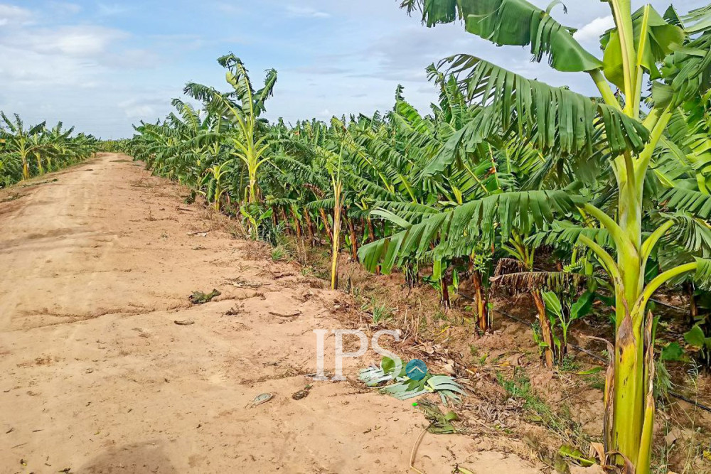 12,140 Sqm Land For Sale - Kien Svay, Kandal Province - Image 2 12,140 Sqm Land For Sale - Kien Svay, Kandal Province - Image 2