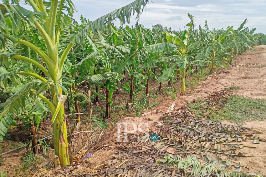 12,140 Sqm Land For Sale - Kien Svay, Kandal Province
