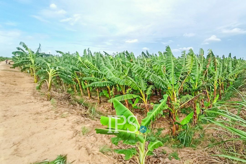 12,140 Sqm Land For Sale - Kien Svay, Kandal Province