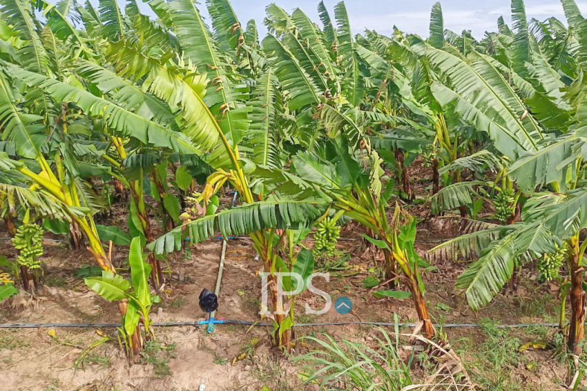 12,140 Sqm Land For Sale - Kien Svay, Kandal Province