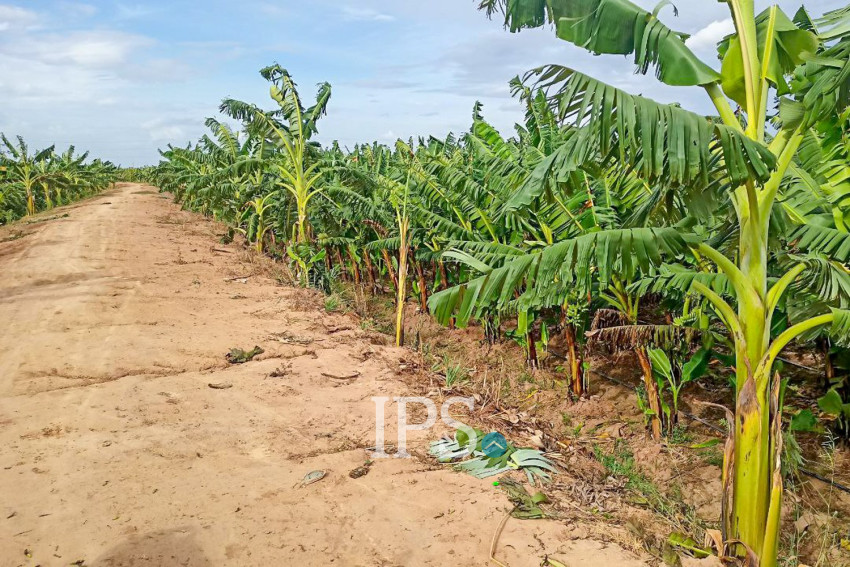 12,140 Sqm Land For Sale - Kien Svay, Kandal Province