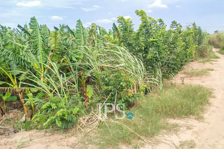 12,140 Sqm Land For Sale - Kien Svay, Kandal Province