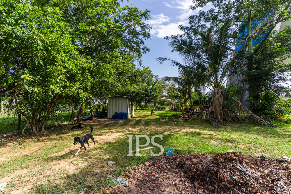 728 Sqm Land For Sale - Svay Dangkum, Siem Reap - Image 7