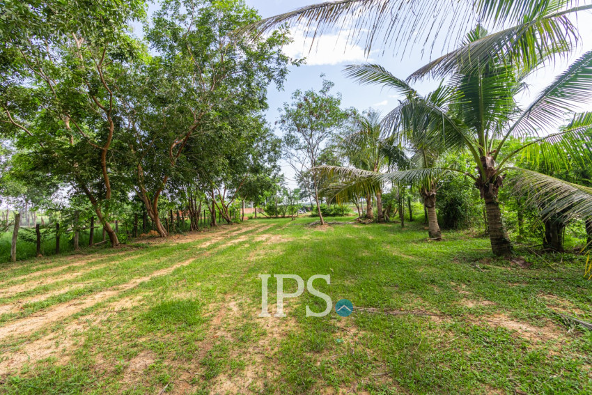 728 Sqm Land For Sale - Svay Dangkum, Siem Reap