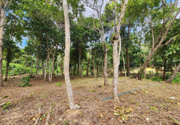 42,000 Sqm Beach Front  Land For Sale - Kaoh Rong Sanloem, Sihanouk Province thumbnail