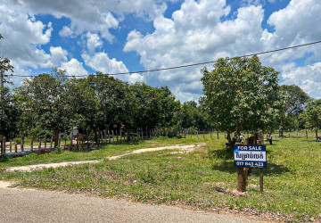 595 Sqm Land For Sale - Banteay Srei, Siem Reap thumbnail