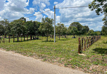 595 Sqm Land For Sale - Banteay Srei, Siem Reap thumbnail