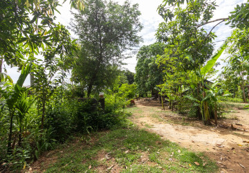 2,319 Sqm Land For Sale - Chreav, Siem Reap thumbnail