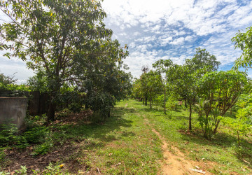 2,319 Sqm Land For Sale - Chreav, Siem Reap thumbnail