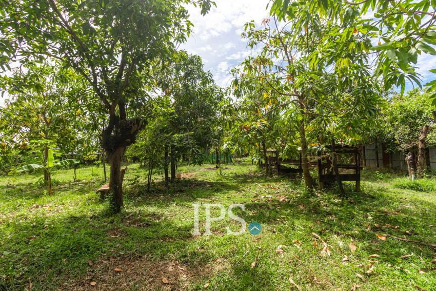 2,319 Sqm Land For Sale - Chreav, Siem Reap