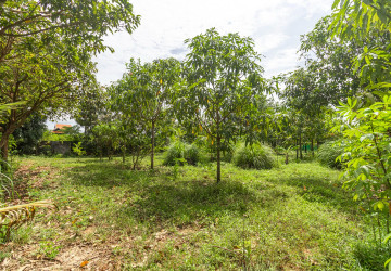 2,319 Sqm Land For Sale - Chreav, Siem Reap thumbnail