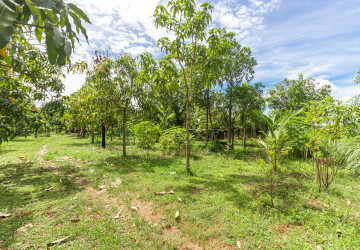 2,319 Sqm Land For Sale - Chreav, Siem Reap thumbnail