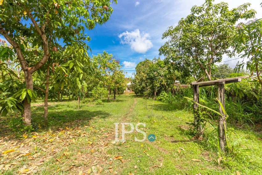 2,319 Sqm Land For Sale - Chreav, Siem Reap