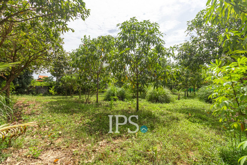 2,319 Sqm Land For Sale - Chreav, Siem Reap