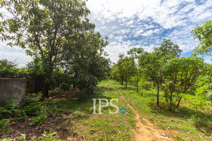 2,319 Sqm Land For Sale - Chreav, Siem Reap
