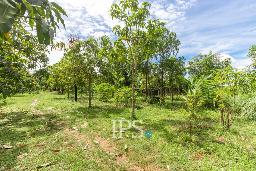 2,319 Sqm Land For Sale - Chreav, Siem Reap