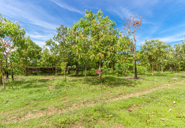 2,319 Sqm Land For Sale - Chreav, Siem Reap thumbnail