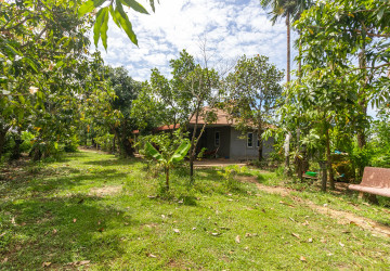 2,319 Sqm Land For Sale - Chreav, Siem Reap thumbnail