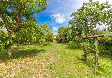 2,319 Sqm Land For Sale - Chreav, Siem Reap thumbnail