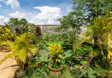 3 Bedroom House For Rent - Sangkat Siem Reap, Siem Reap thumbnail