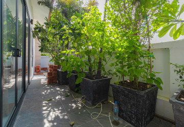 1 Bedroom Compound Villa For Rent - Sangkat Siem Reap, Siem Reap thumbnail