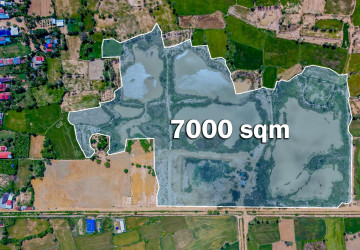7,000 Sqm Land For Sale - Kandal, Phnom Penh thumbnail