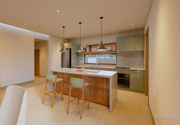 3 Bedroom Tranquility Villas For Sale - Sambour, Siem Reap thumbnail