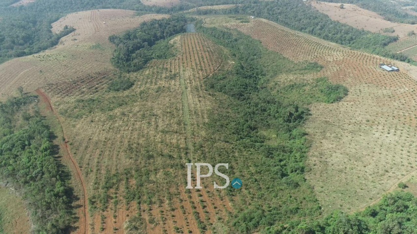 60 Ha Agricultural Land For Sale - Ou Reang District, Mondulkiri Province