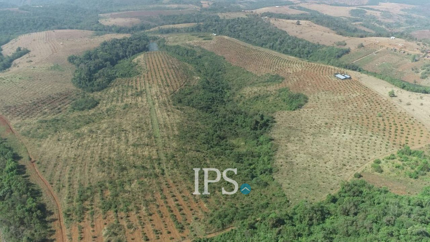 60 Ha Agricultural Land For Sale - Ou Reang District, Mondulkiri Province