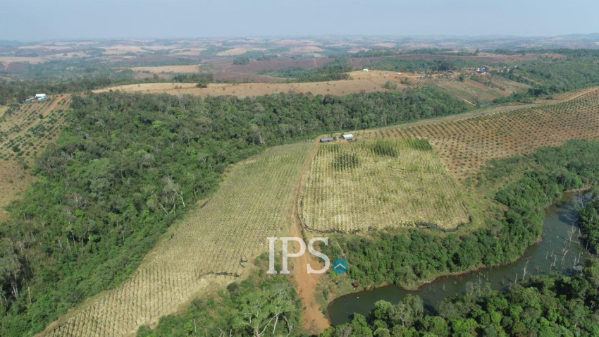 60 Ha Agricultural Land For Sale - Ou Reang District, Mondulkiri Province