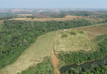 60 Ha Agricultural Land For Sale - Ou Reang District, Mondulkiri Province thumbnail